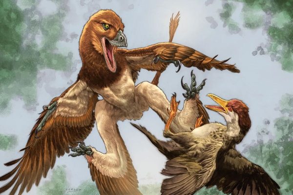 Dinosaur with four wings was the terror of Earth's first birds