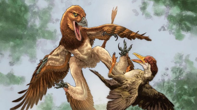 Dinosaur with four wings was the terror of Earth's first birds