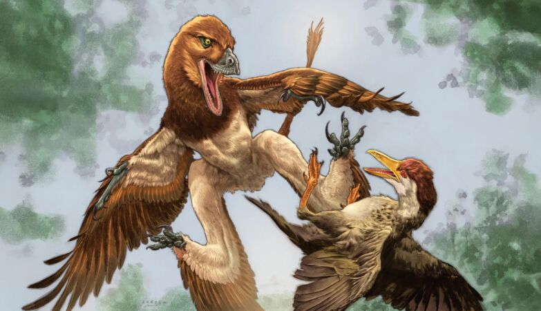 Dinosaur with four wings was the terror of Earth's first birds
