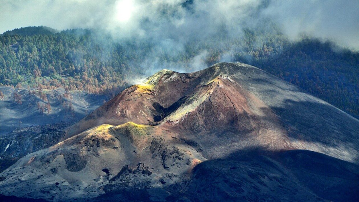 Portuguese institutions helped identify “models” of Martian life in the Canary Islands