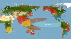 “Gasoline on the fire”. El Nino has already started