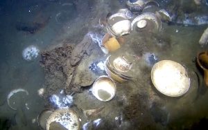 “Almost unbelievable” shipwreck surprises archaeologists in Norway