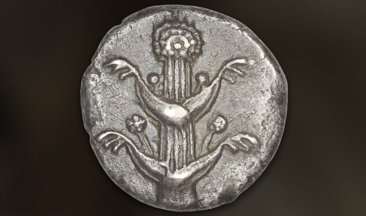 The ancient Romans were obsessed with one plant. It was more valuable than gold