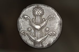 The ancient Romans were obsessed with one plant. It was more valuable than gold