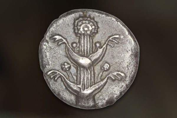The ancient Romans were obsessed with one plant. It was more valuable than gold