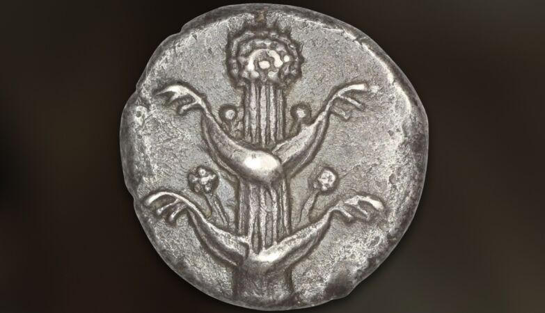 The ancient Romans were obsessed with one plant. It was more valuable than gold
