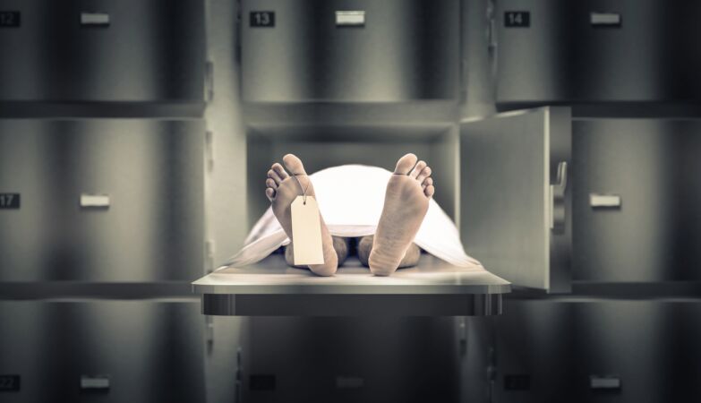 Man who donated his body after death had a rare “triple penis”