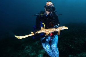 Species of “lazy” shark capable of “walking” on land discovered