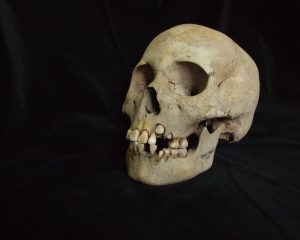 The oldest traces of the Black Death discovered in prehistoric teenagers