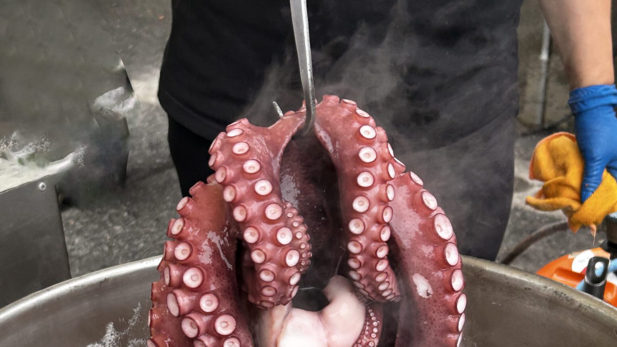 “Everyone was surprised”: Marinhas restaurant wins competition with more than 100 participants due to octopus rice