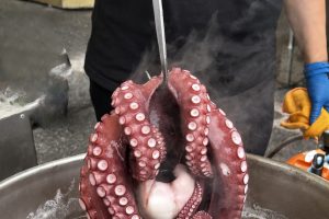 “Everyone was surprised”: Marinhas restaurant wins competition with more than 100 participants due to octopus rice