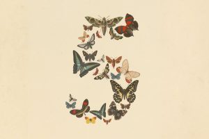 Anthropic opens its most powerful AI ever (with safeguards) to the public
