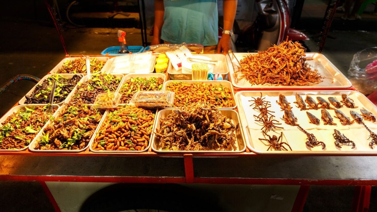 Think you would never eat insects? A study suggests that maybe — and you might even like