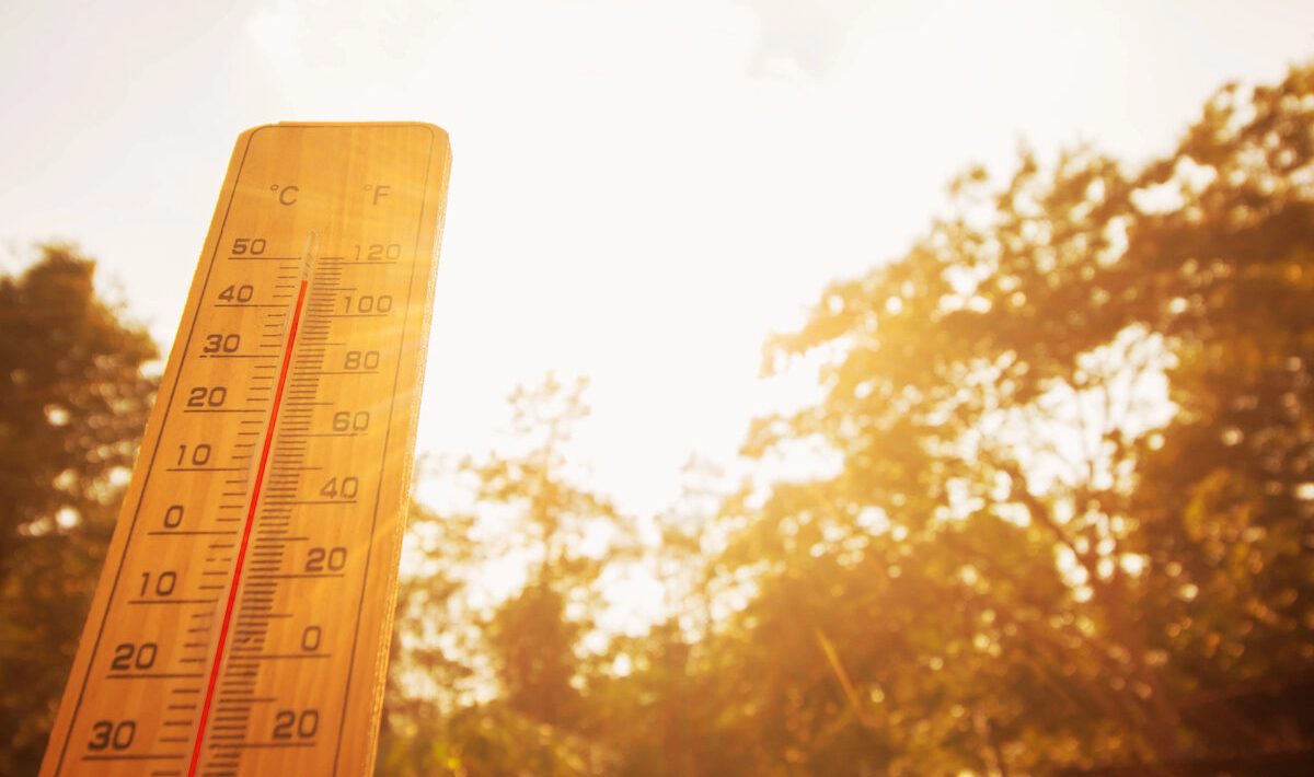 Children aged 2 and 4 die in car during heatwave in France