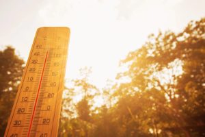 Children aged 2 and 4 die in car during heatwave in France