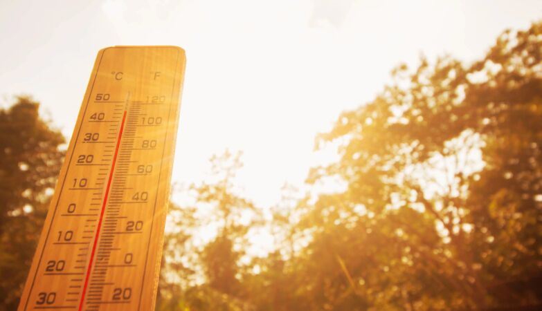 Children aged 2 and 4 die in car during heatwave in France