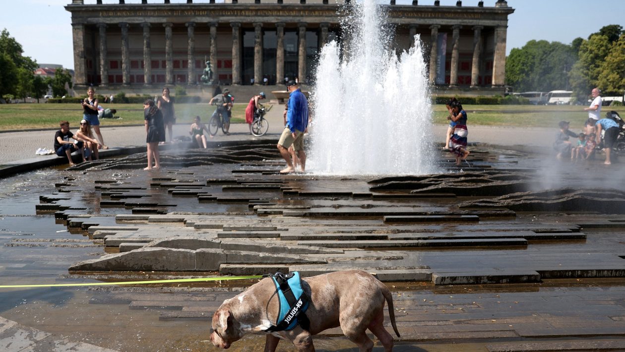 Germany: The heat wave is on its way - A third record high of up to 42 degrees is expected