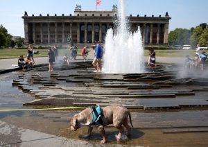 Germany: The heat wave is on its way - A third record high of up to 42 degrees is expected