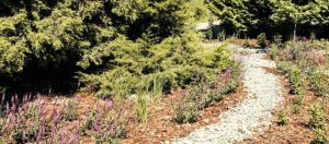 Hot weather in Poland Blue and green infrastructure helps retain water in cities and gardens