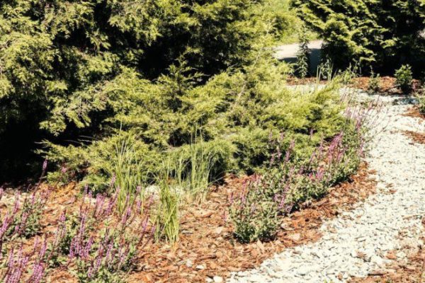 Hot weather in Poland Blue and green infrastructure helps retain water in cities and gardens