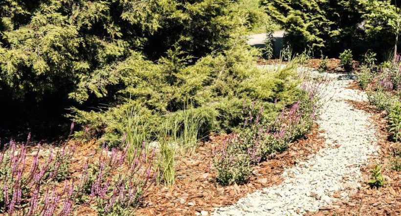 Hot weather in Poland Blue and green infrastructure helps retain water in cities and gardens