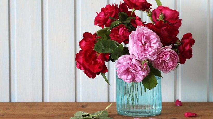 I pour cut flowers into a vase with roses, and my husband stops saying that buying flowers is not worth it. Thanks to this, cut roses will stay fresh twice as long