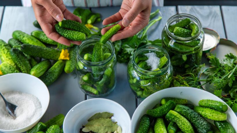 Preserving season My husband puts it in a jar when he makes low-salt cucumbers. This is why they are as hard and crispy as breadsticks. Recipe for low-salt cucumbers