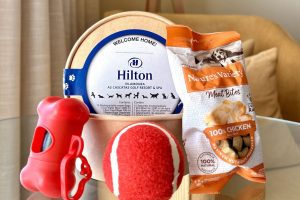 Pets also have a place on vacation at the Hilton Vilamoura