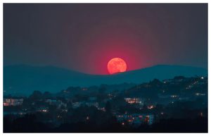 Full Moon in Capricorn and Mercury retrograde in Cancer: The duel between the wounded child and the adult who must decide. All signs are influenced!