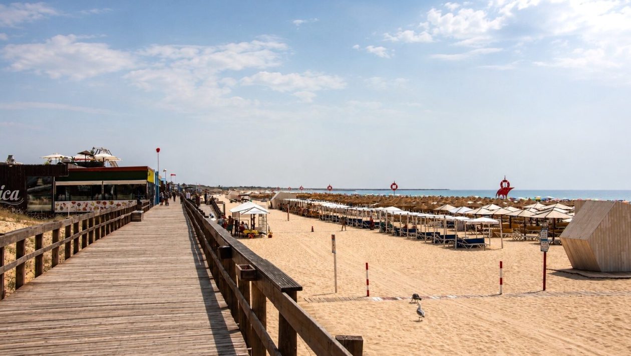 VRSA supports concessionaires and asks for clarification of the rules on placing parasols