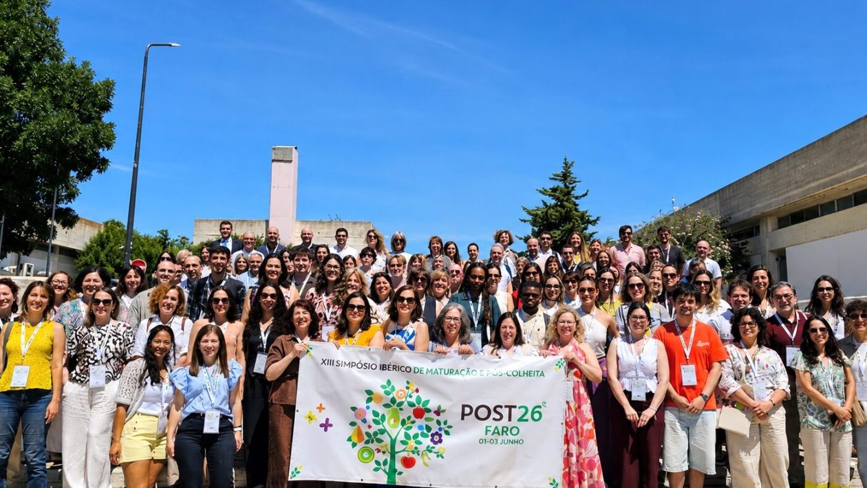 Researchers present solutions in Faro to reduce food waste