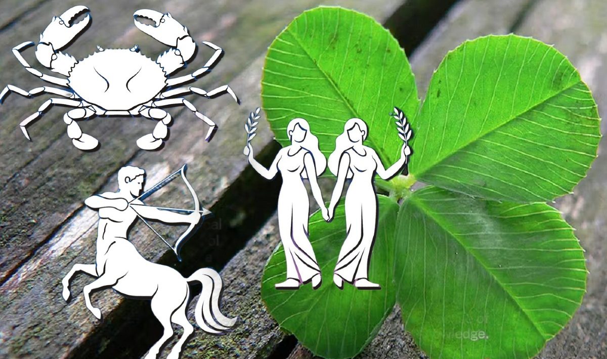 Miracle window, until June 15, for 3 zodiac signs. Unexpected luck, financial success and emotional fulfillment for these natives
