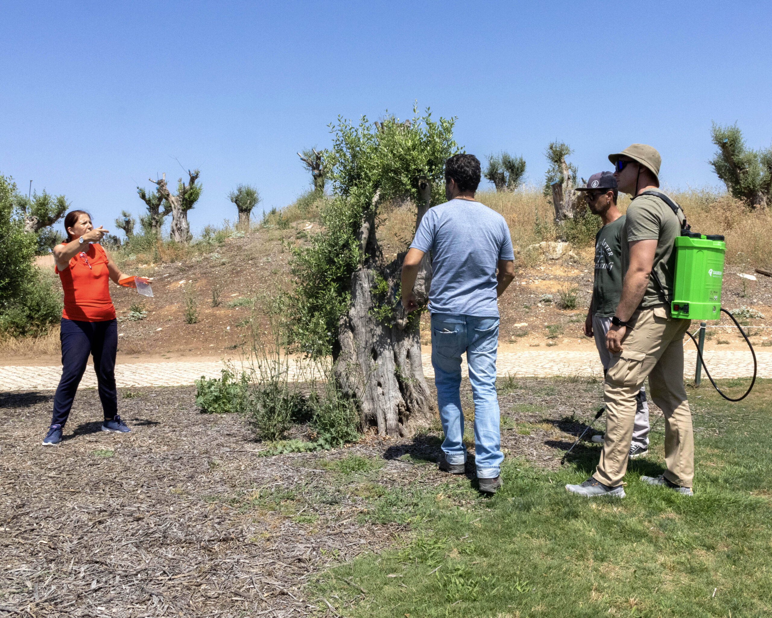 Santa Casa de Albufeira exceeds 350 graduates with CAPACITAR project
