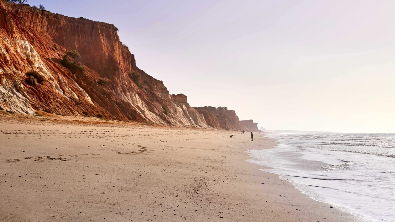 Sleeps and income increase in the Algarve during the month of May