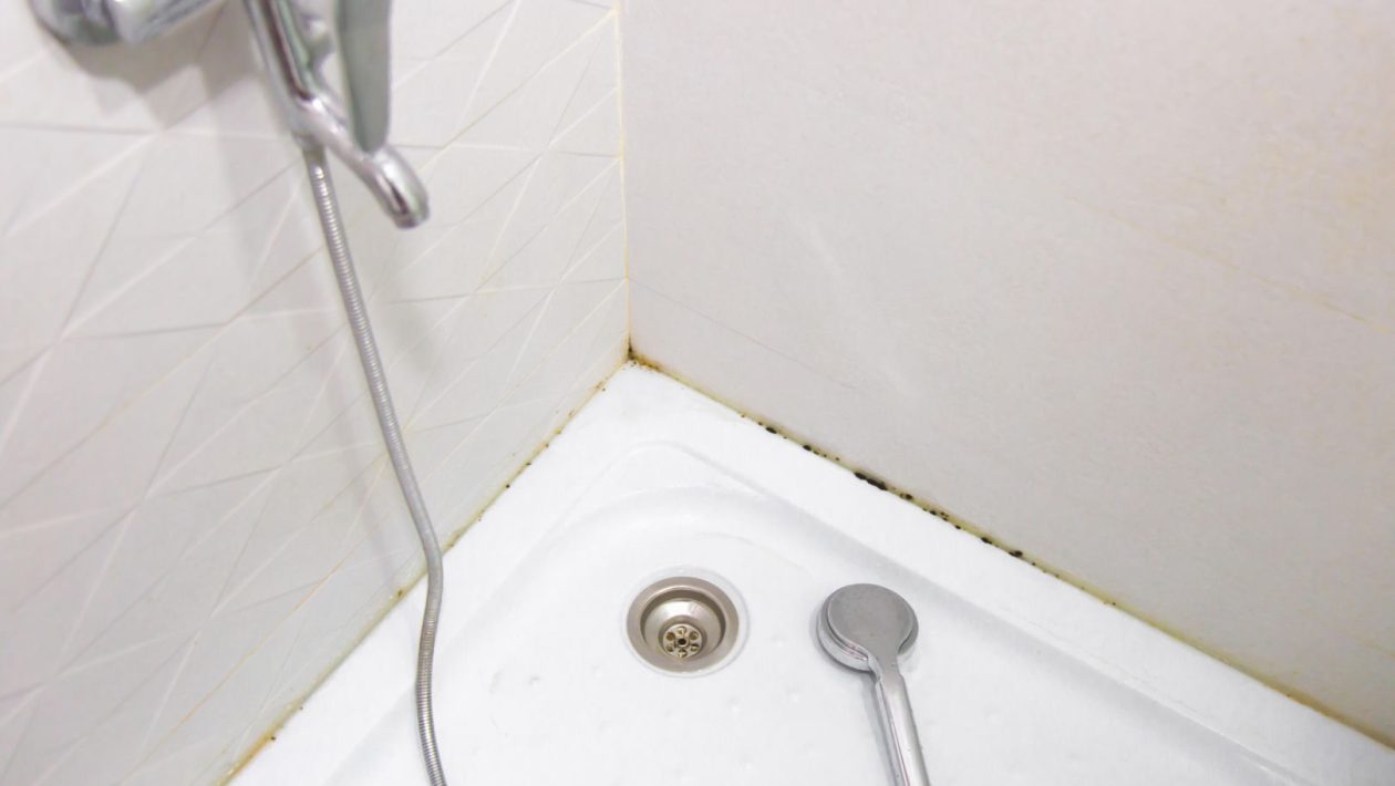 Home remedies Half a cup of this is enough to clean the shower tray. Instead of baking soda, use this and yellow stains and mold will disappear in one cleaning