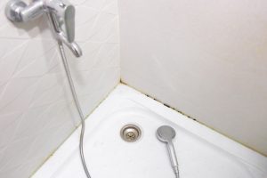 Home remedies Half a cup of this is enough to clean the shower tray. Instead of baking soda, use this and yellow stains and mold will disappear in one cleaning