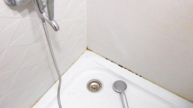 Home remedies Half a cup of this is enough to clean the shower tray. Instead of baking soda, use this and yellow stains and mold will disappear in one cleaning